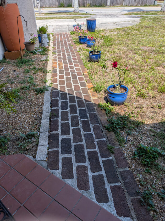 Garden Club of Cape Coral | Building a Florida Friendly Garden, part 5